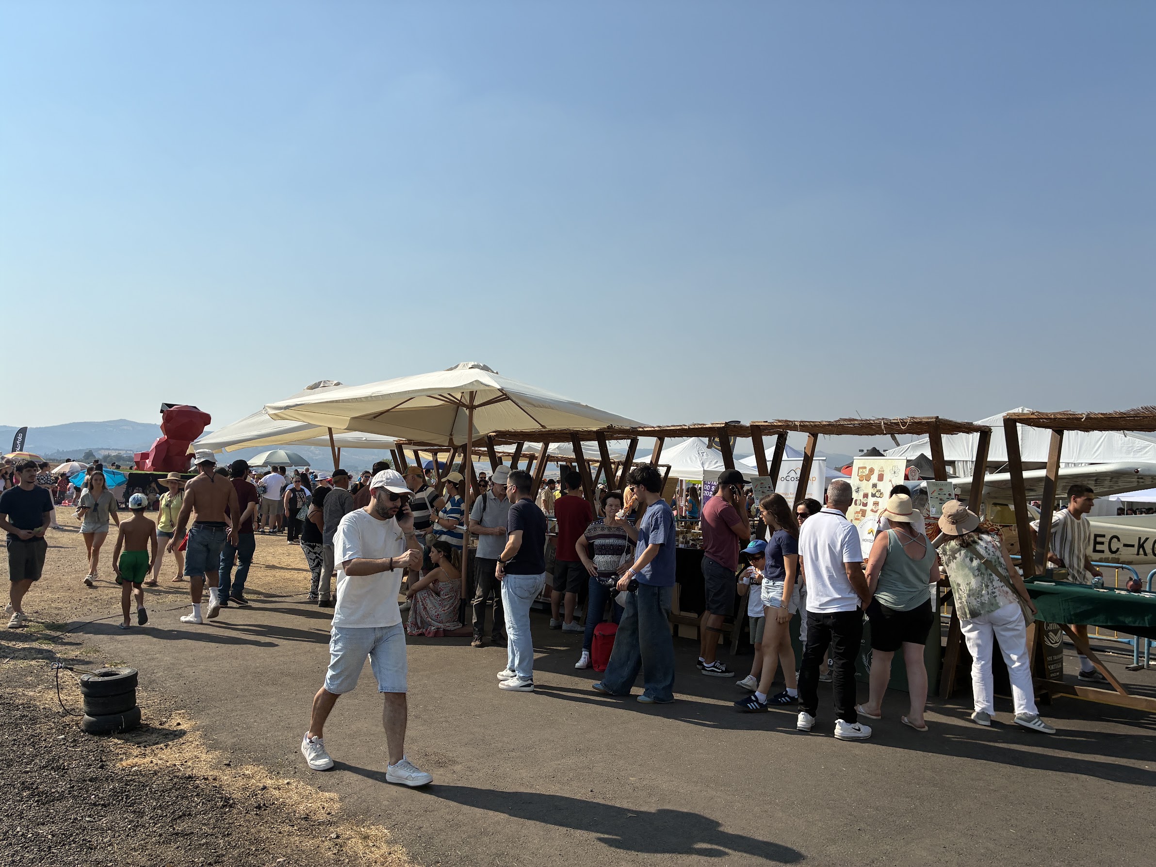 Multidão no aeródromo