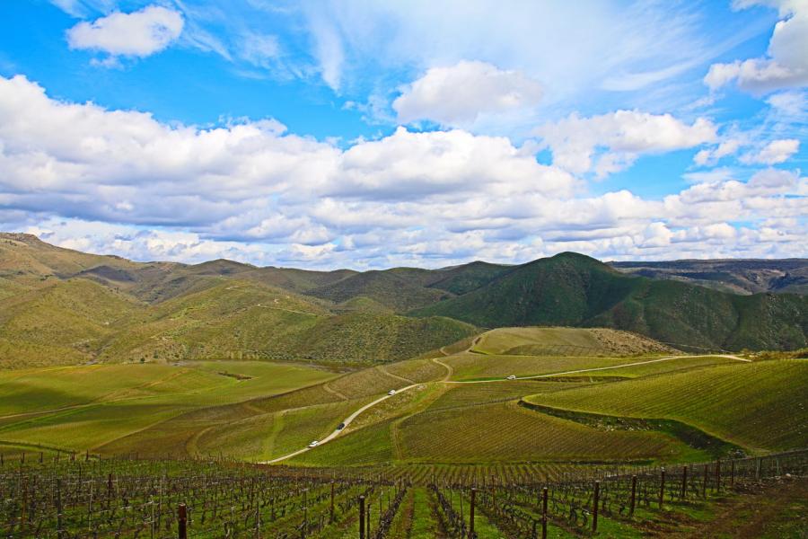 douro